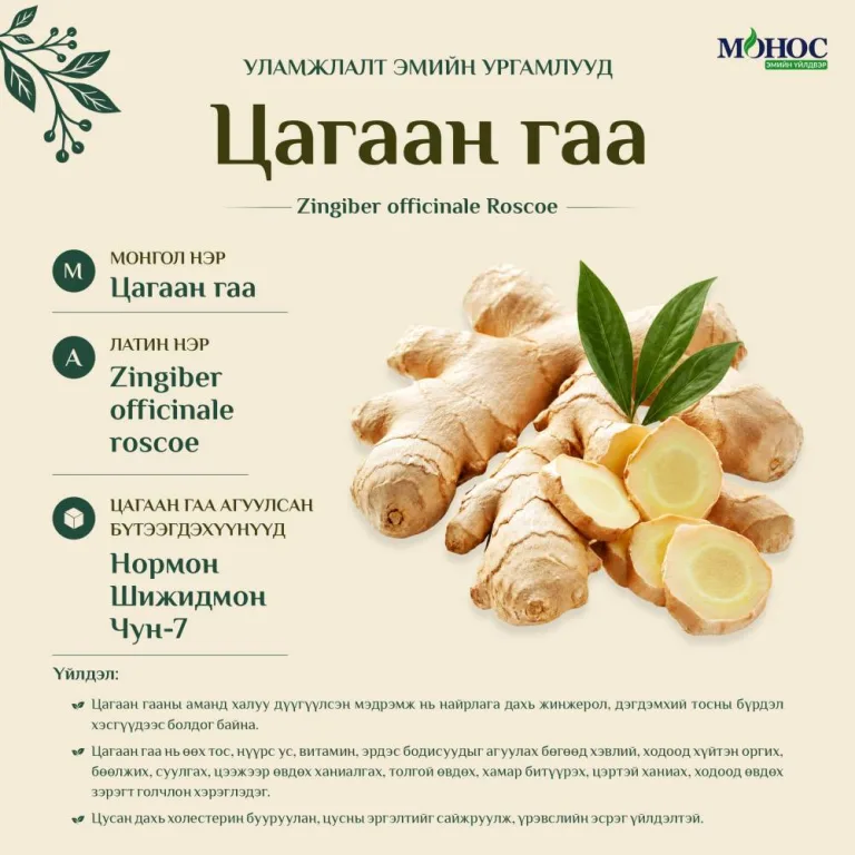 №1. Цагаан гаа