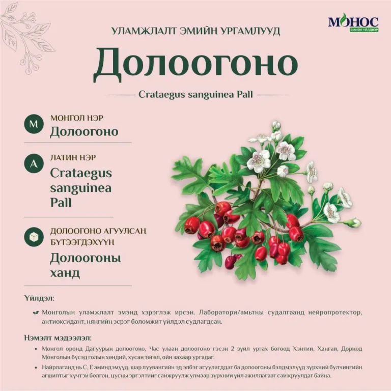 №3. Долоогоно
