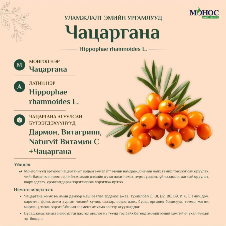 №5. Чацаргана